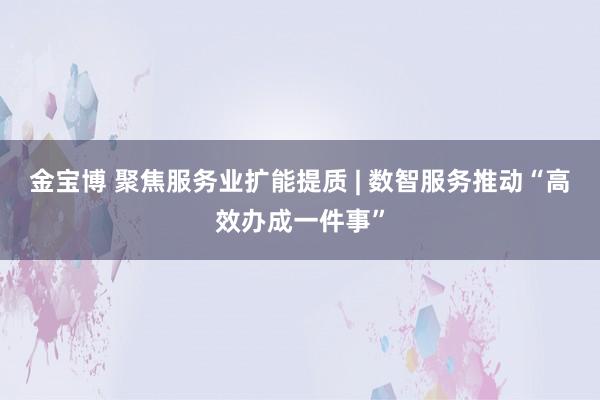 金宝博 聚焦服务业扩能提质 | 数智服务推动“高效办成一件事”