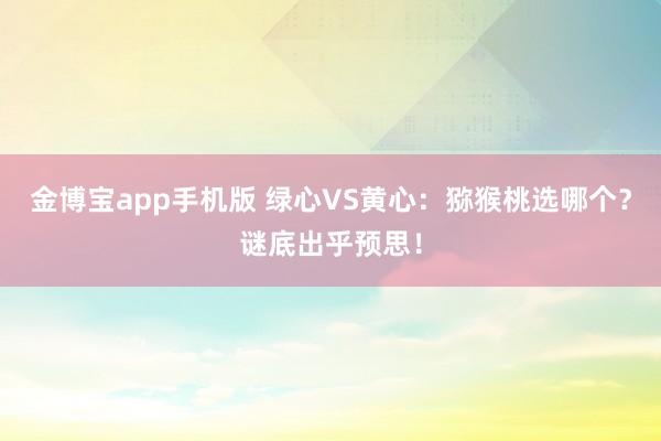 金博宝app手机版 绿心VS黄心：猕猴桃选哪个？谜底出乎预思！
