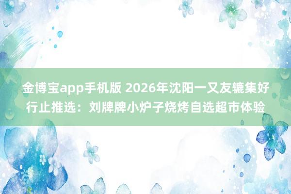 金博宝app手机版 2026年沈阳一又友辘集好行止推选：刘牌牌小炉子烧烤自选超市体验