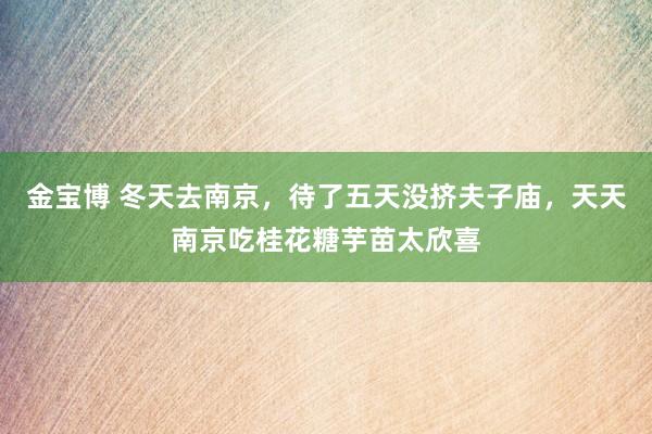 金宝博 冬天去南京，待了五天没挤夫子庙，天天南京吃桂花糖芋苗太欣喜