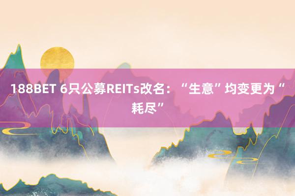 188BET 6只公募REITs改名：“生意”均变更为“耗尽”