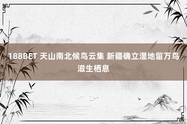 188BET 天山南北候鸟云集 新疆确立湿地留万鸟滋生栖息