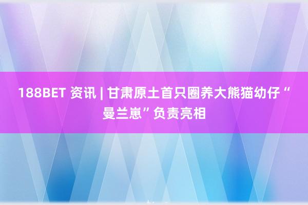 188BET 资讯 | 甘肃原土首只圈养大熊猫幼仔“曼兰崽”负责亮相