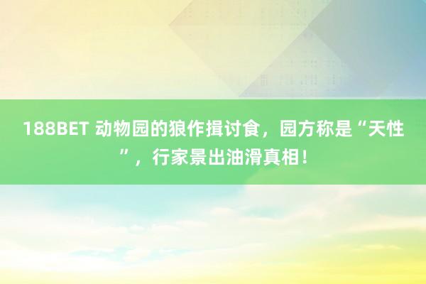 188BET 动物园的狼作揖讨食，园方称是“天性”，行家景出油滑真相！