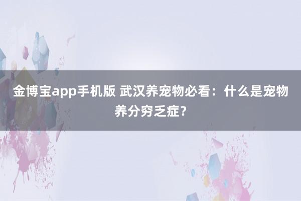 金博宝app手机版 武汉养宠物必看：什么是宠物养分穷乏症？