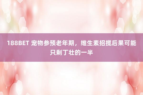 188BET 宠物参预老年期，维生素招揽后果可能只剩丁壮的一半