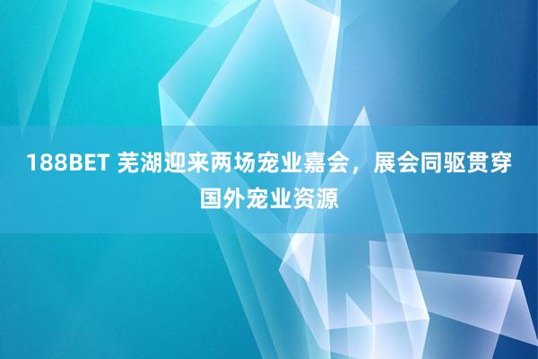 188BET 芜湖迎来两场宠业嘉会，展会同驱贯穿国外宠业资源