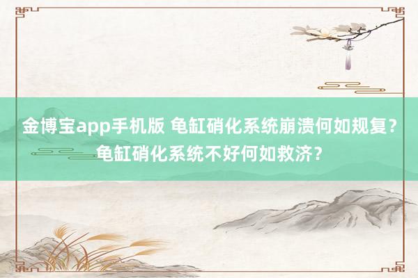 金博宝app手机版 龟缸硝化系统崩溃何如规复？龟缸硝化系统不好何如救济？